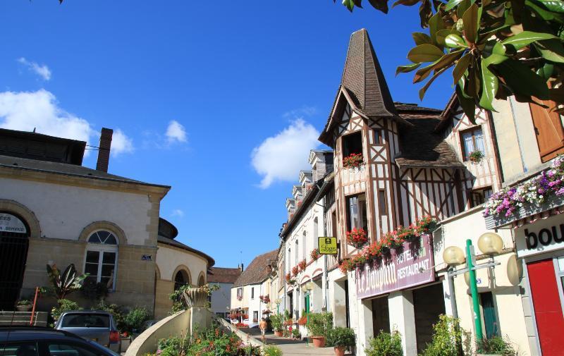 Logis Hotel Et Restaurant Du Dauphin Sées Exteriör bild
